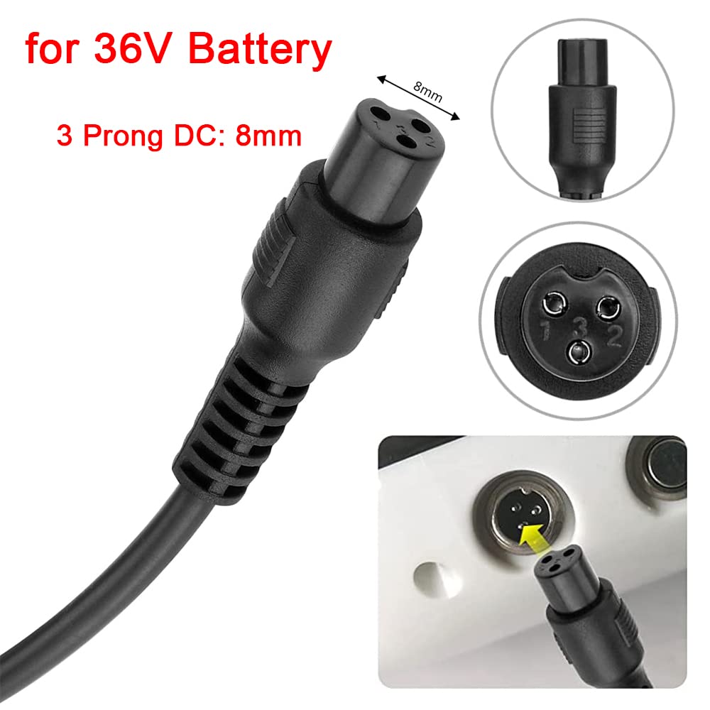 42V 2A Charger for 36V Lithium Battery, 5.5mm x 2.5mm and 8mm 3 Prong Connector N845