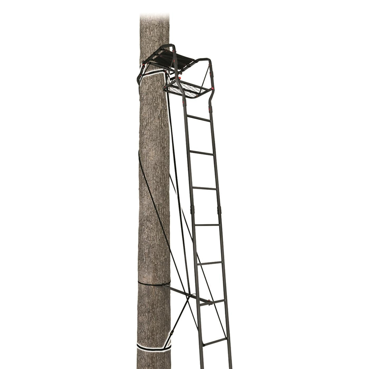 15’ Single Person Ladder Tree Stand X533762