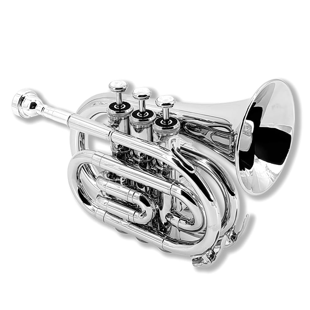 Pocket Trumpet Mini Brass Instrument with 7C Mouthpiece & Case D31268
