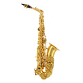 Alto E Flat Lacquered Gold Saxophone X871