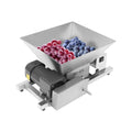 60W Stainless Steel 4L Fruit Crusher G541