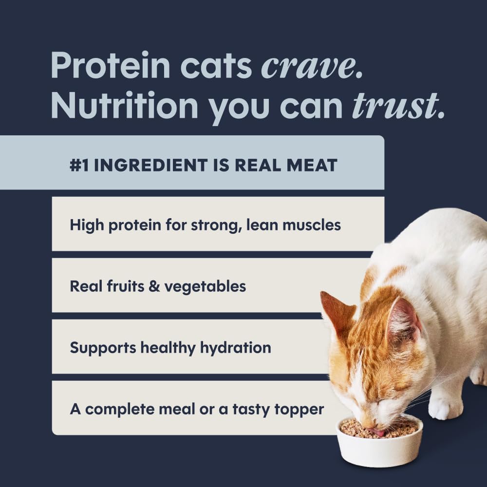 Grain Free Natural Wet Canned Cat Food 3 Ounce (Pack of 12) F175845
