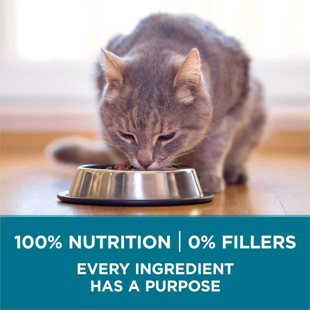 Dry Cat Food, Salmon, 7 lb Bag Q23921
