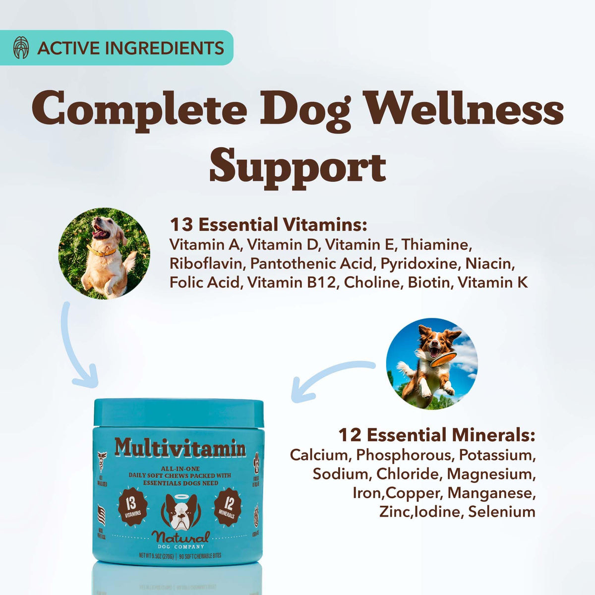 25-in-1 Multivitamin for Dogs 180 Count T65571