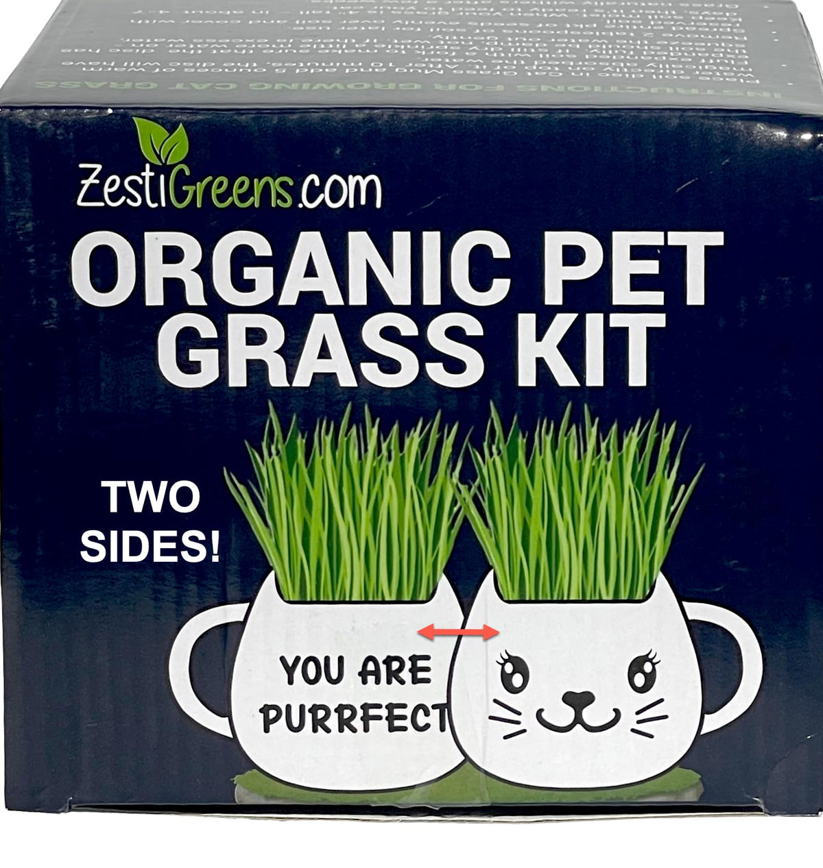 Cat Grass Growing Kit with Seeds, Soil & Ceramic Planter Z6865