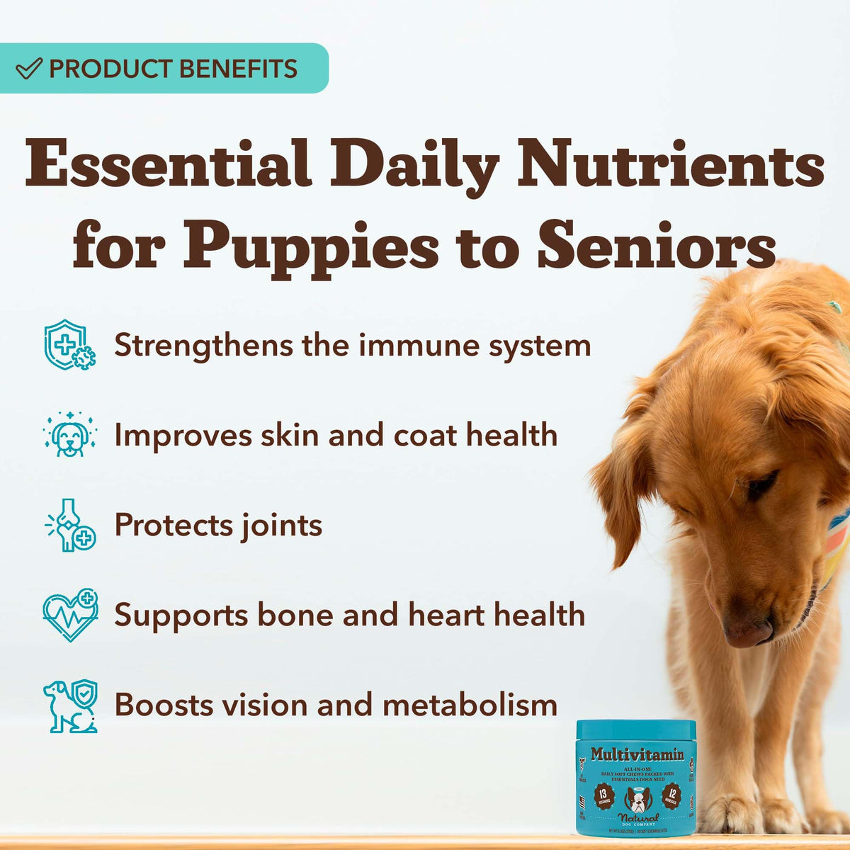 25-in-1 Multivitamin for Dogs 180 Count T65571