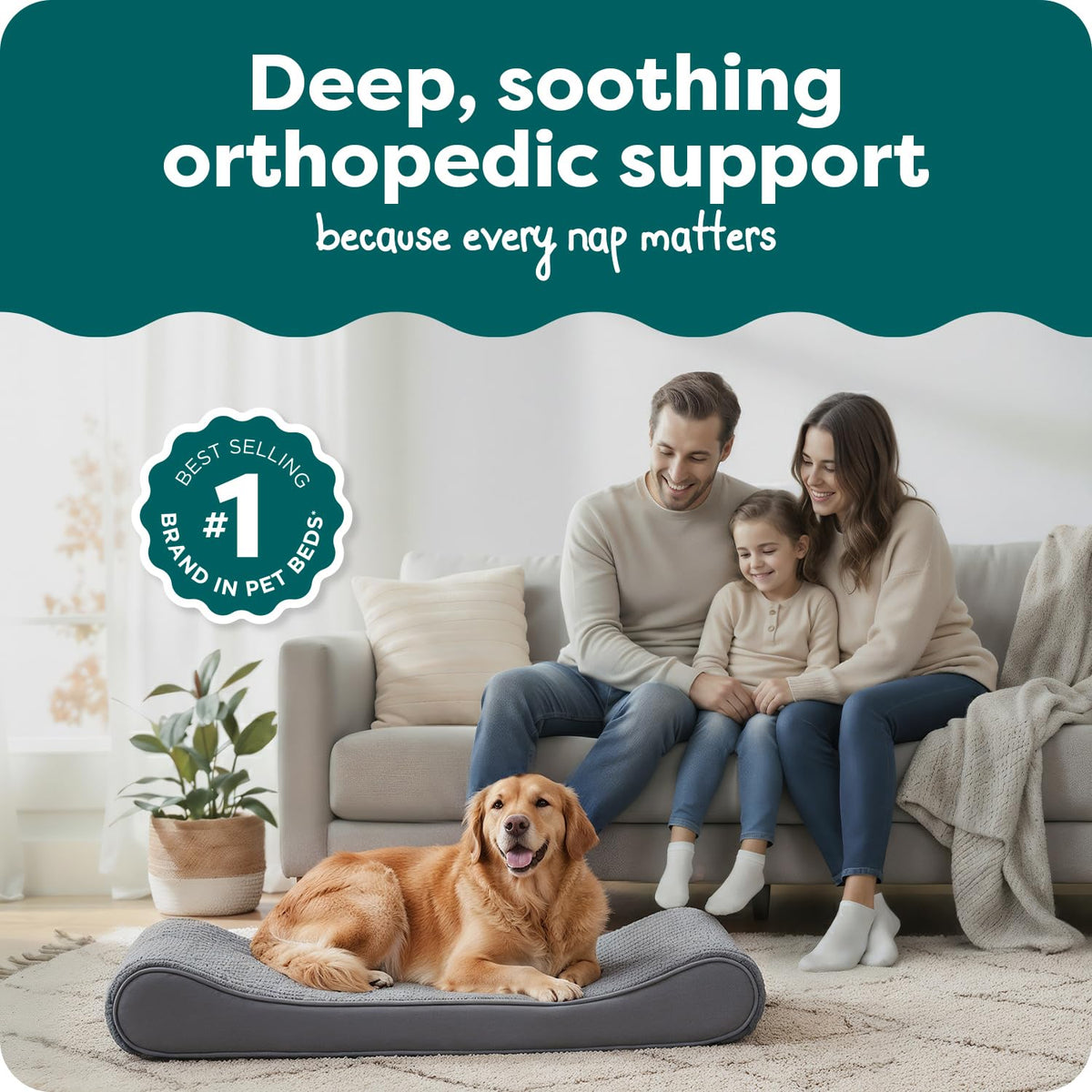 XL Plush Suede Orthopedic Dog Bed B68675