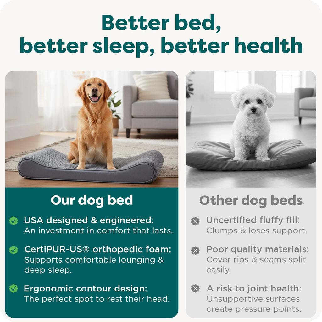 XL Plush Suede Orthopedic Dog Bed B68675
