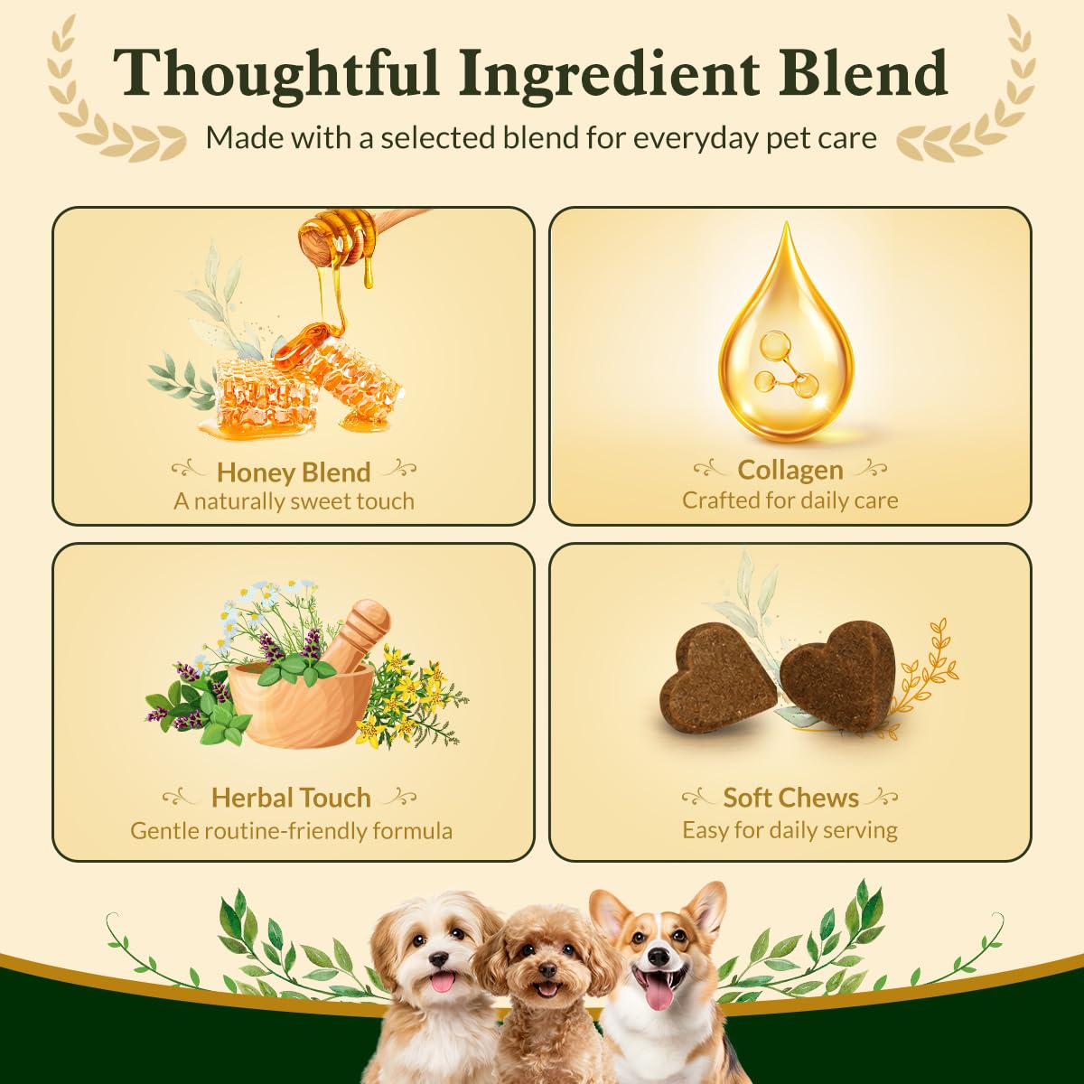 Soft Chews for Dogs Q4558