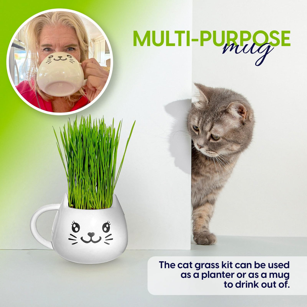 Cat Grass Growing Kit with Seeds, Soil & Ceramic Planter Z6865