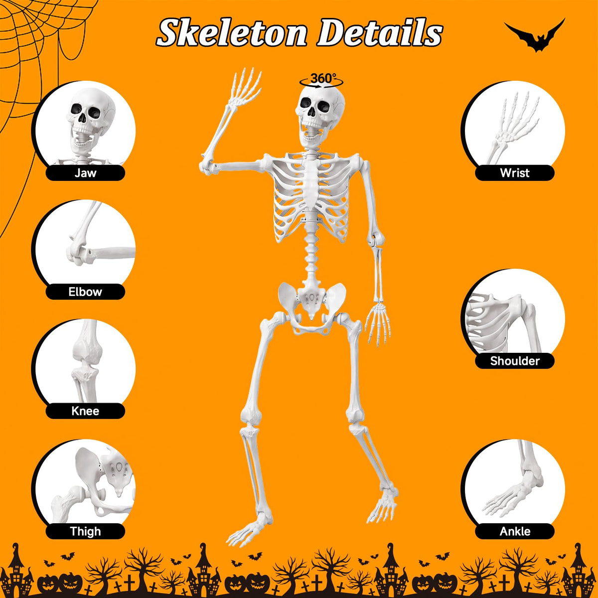 Life Size Human Skeleton with Posable Joint O8215