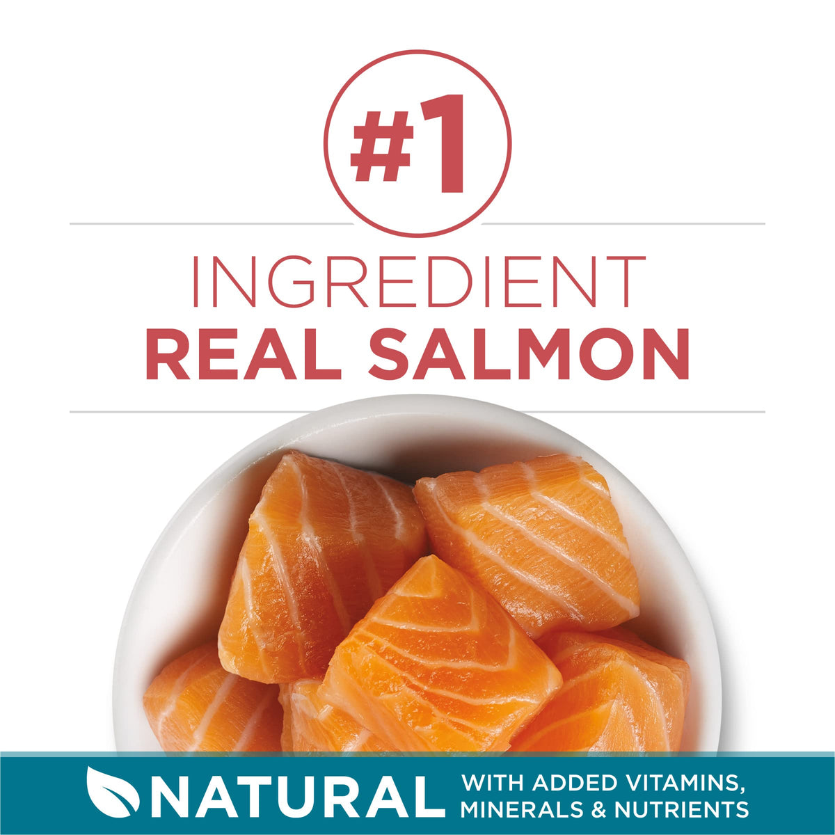 Dry Cat Food, Salmon, 7 lb Bag Q23921