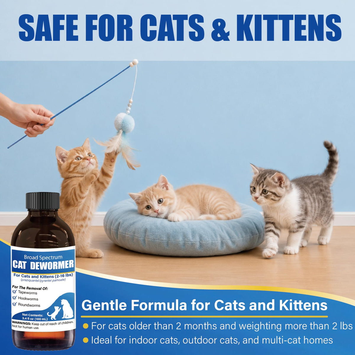 Cat Dewormer Liquid 100 mL with Oral Syringe I78436