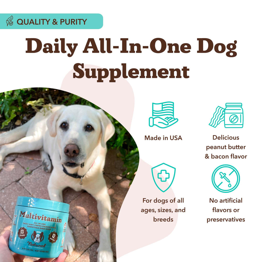 25-in-1 Multivitamin for Dogs 180 Count T65571