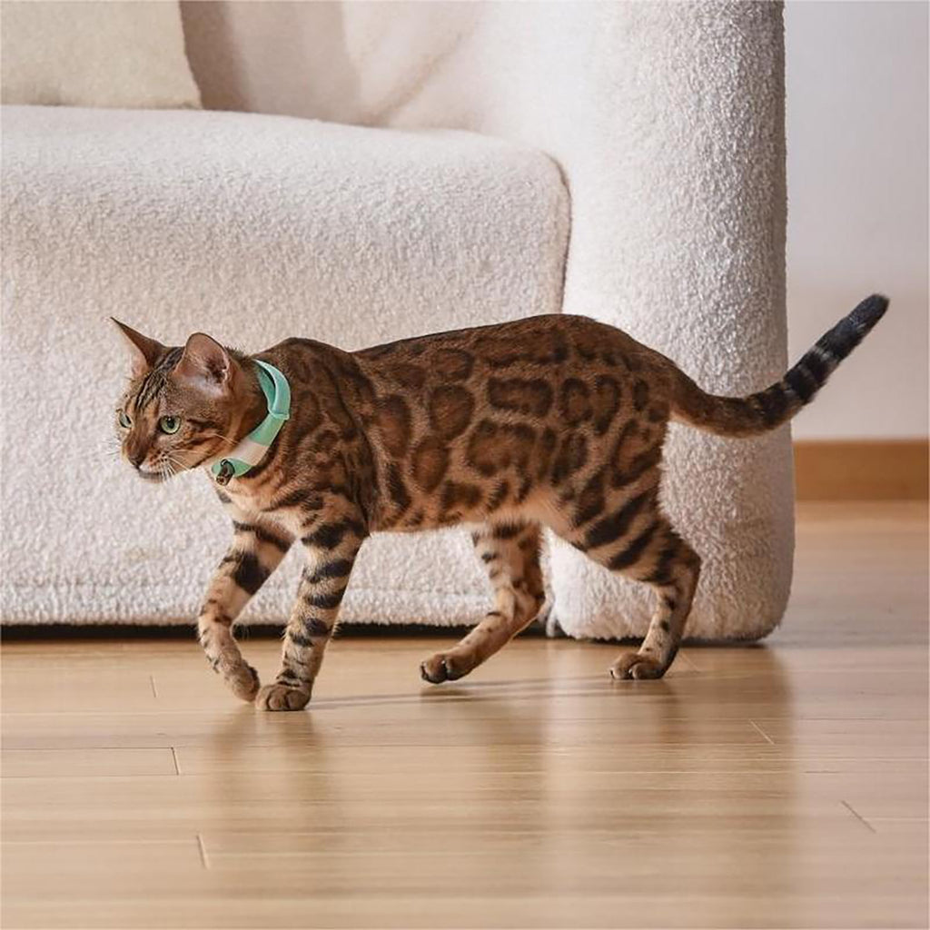 Rechargeable Laser Cat Toy Collar H66552