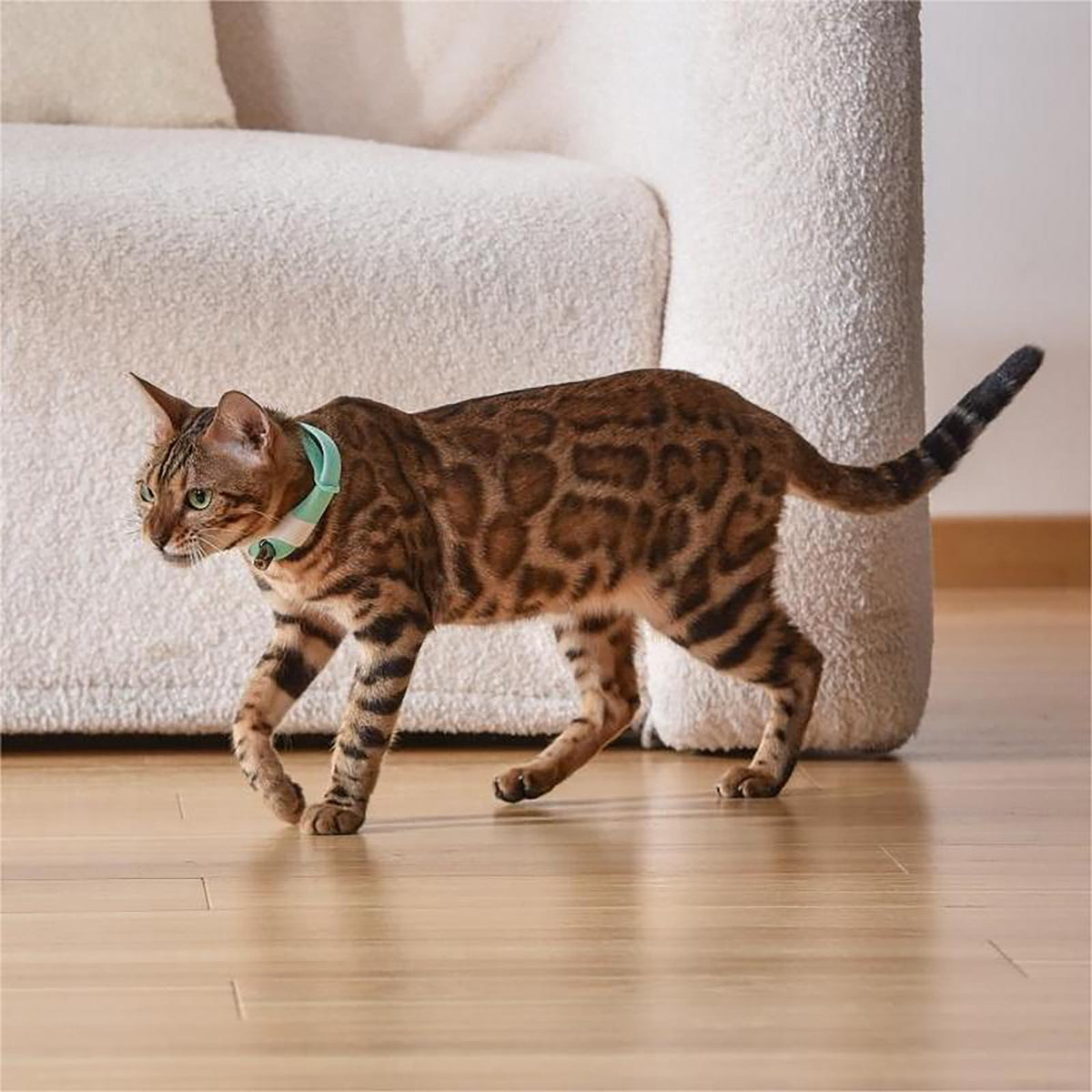 Rechargeable Laser Cat Toy Collar H66552
