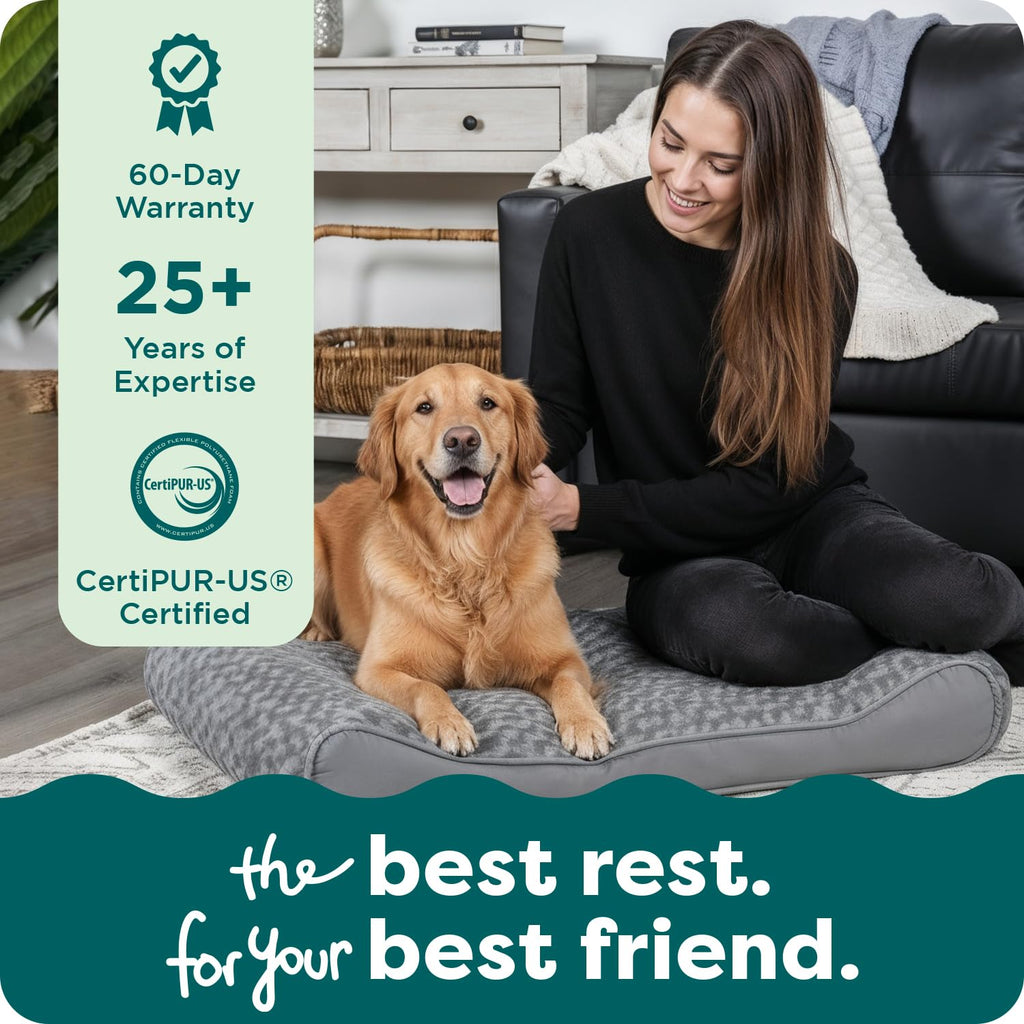 XL Plush Suede Orthopedic Dog Bed B68675