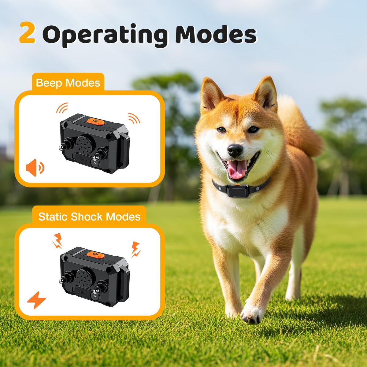 Electric Fence for Dogs with 2 Collars F37960