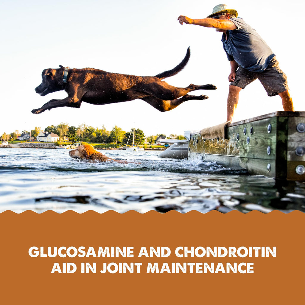 Joint Health Supplement for Dogs and Cats, 32 Ounce C42072