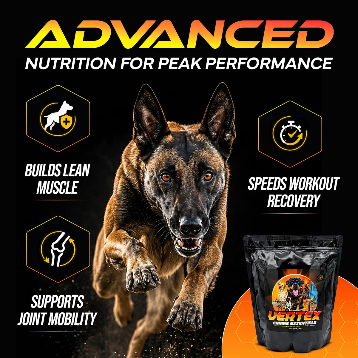 Dog Supplement 4lbs O2341