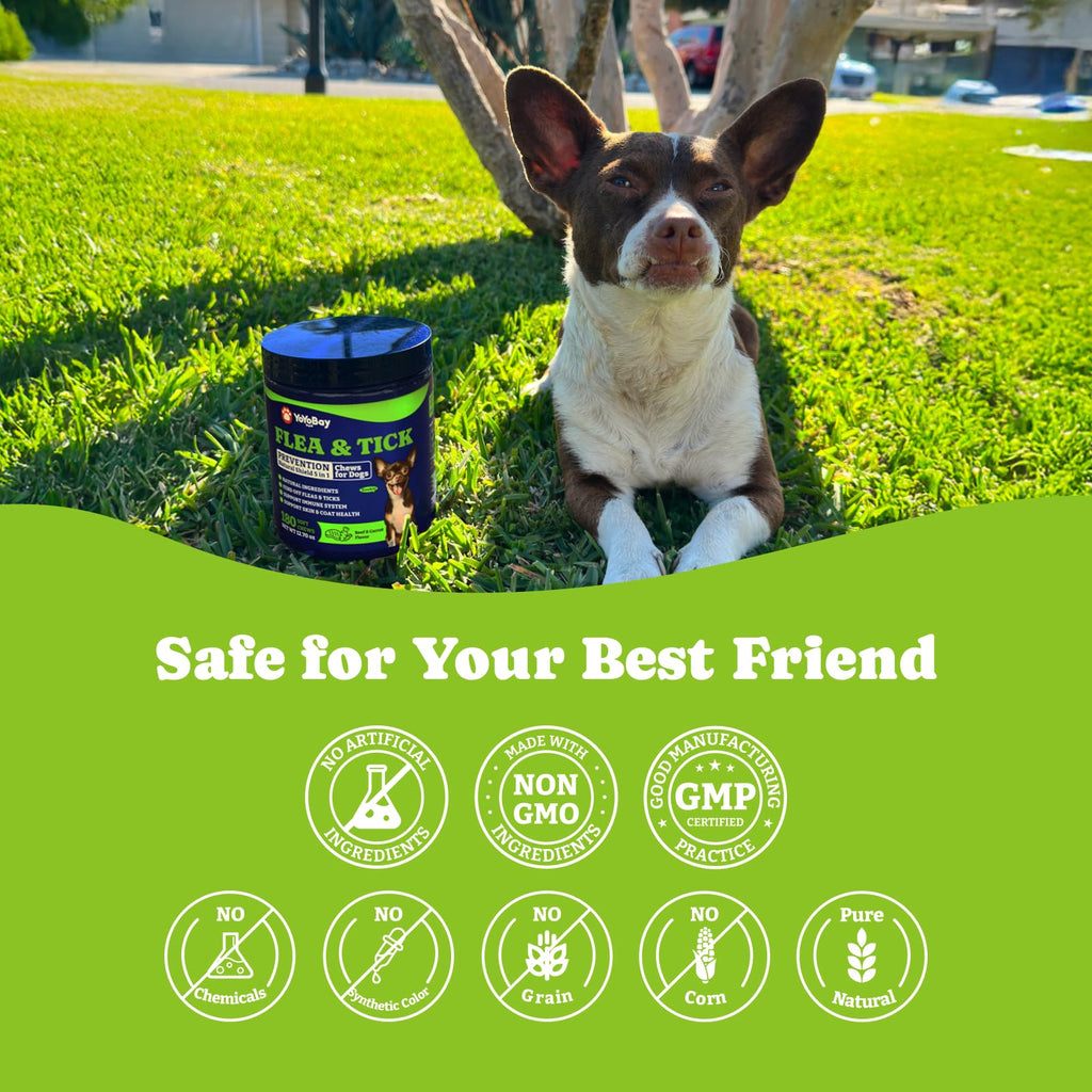 Flea & Tick Prevention for Dogs Chewables M300860