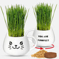 Cat Grass Growing Kit with Seeds, Soil & Ceramic Planter Z6865