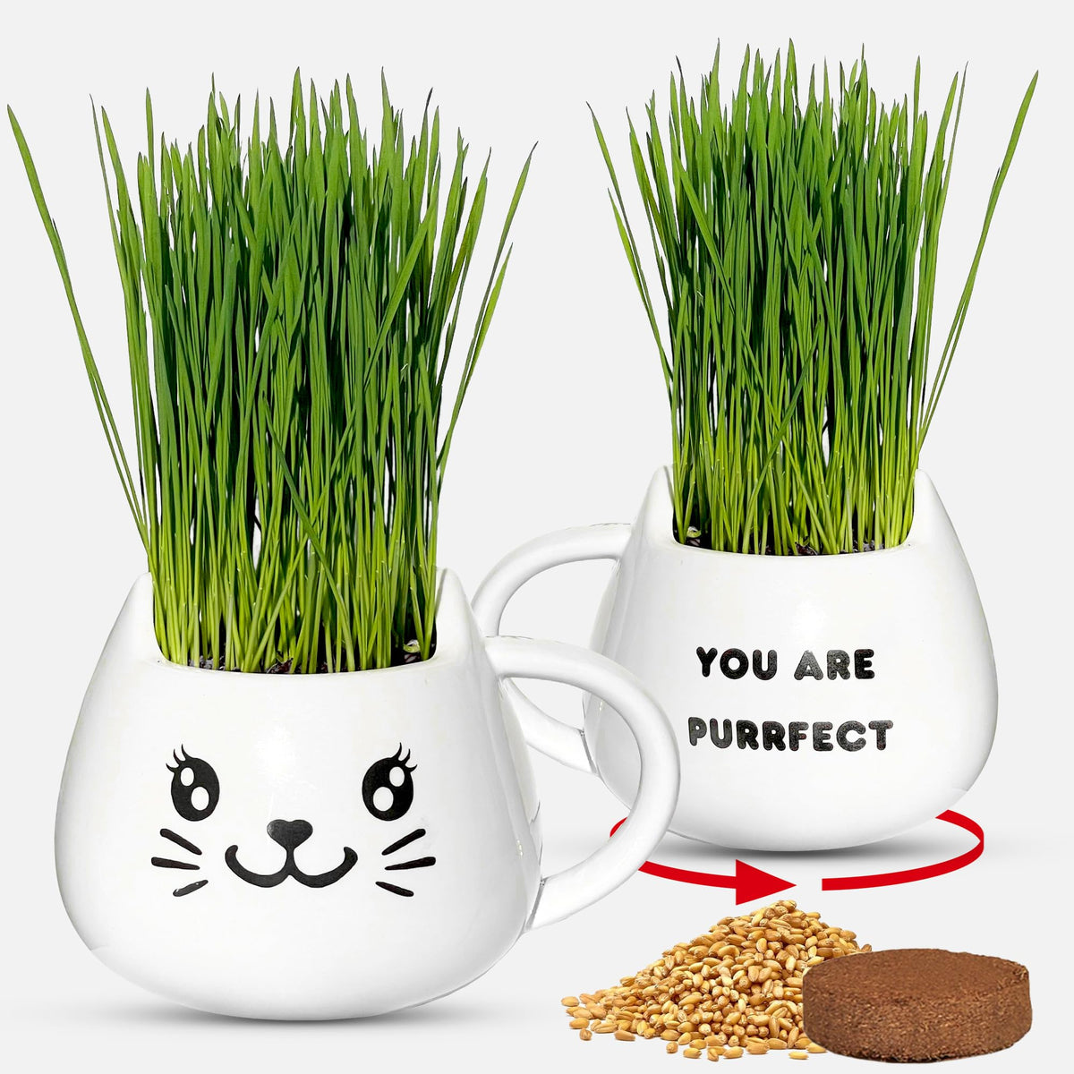 Cat Grass Growing Kit with Seeds, Soil & Ceramic Planter Z6865