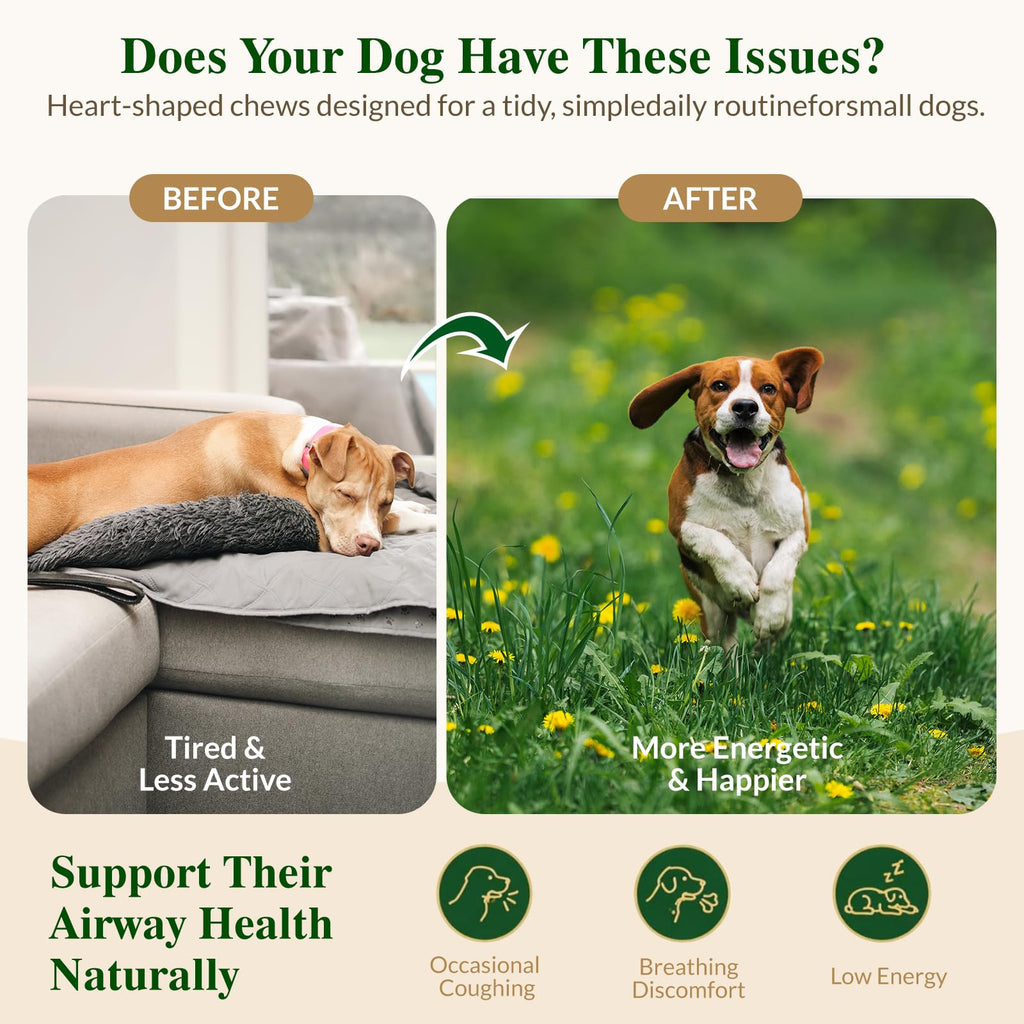 Soft Chews for Dogs Q4558