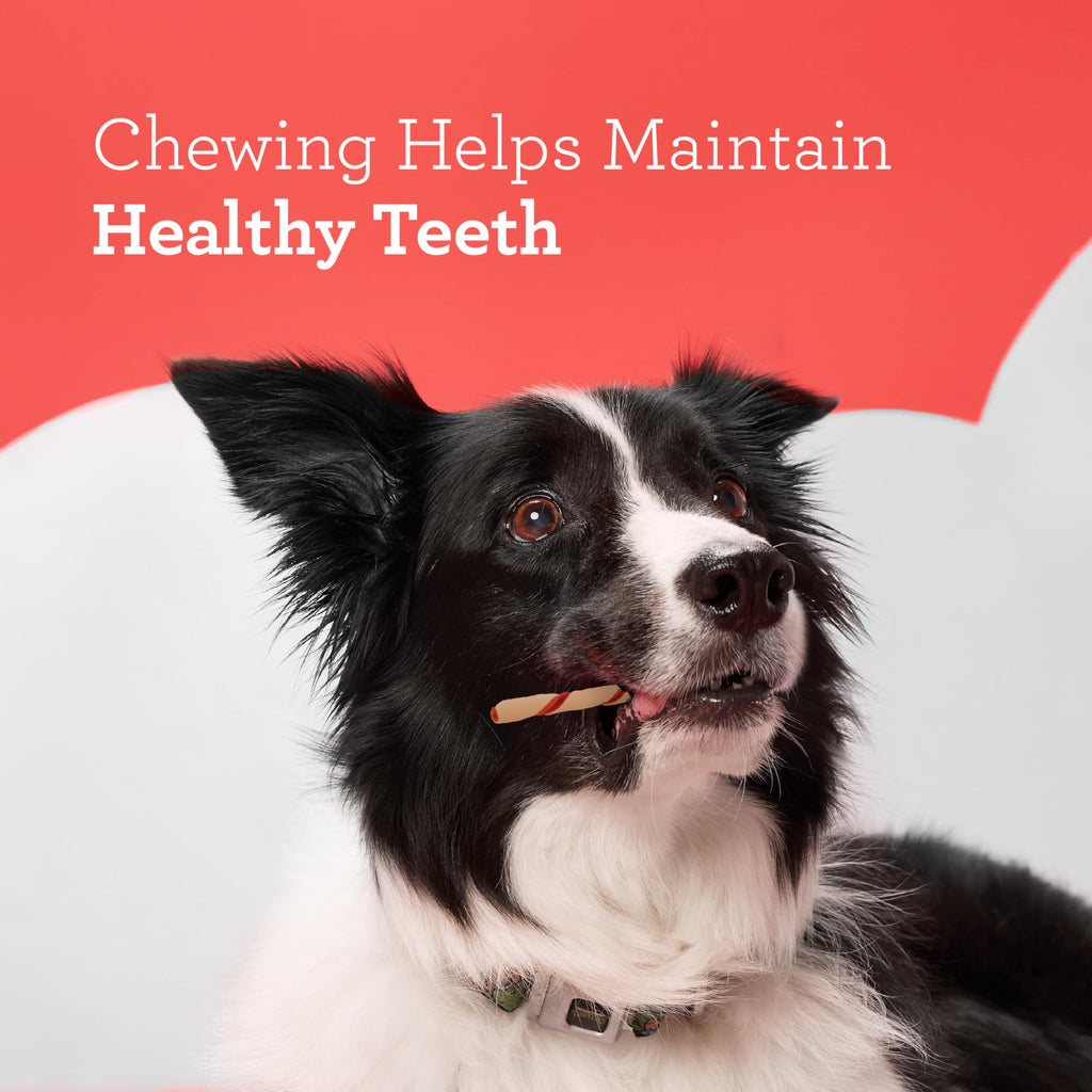 Rawhide-Free Dog Treats With Real Protein, 50 Count X24281