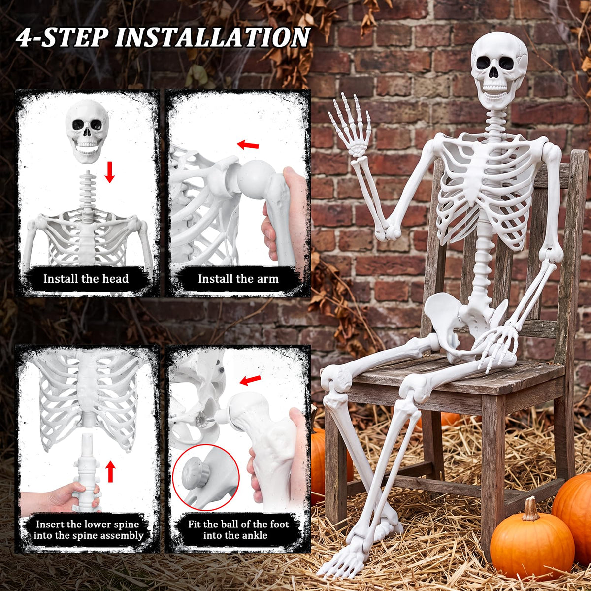 Life Size Human Skeleton with Posable Joint O8215
