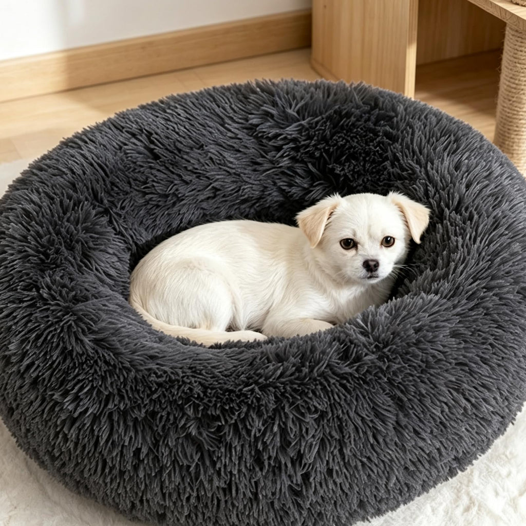 Cat Bed F676