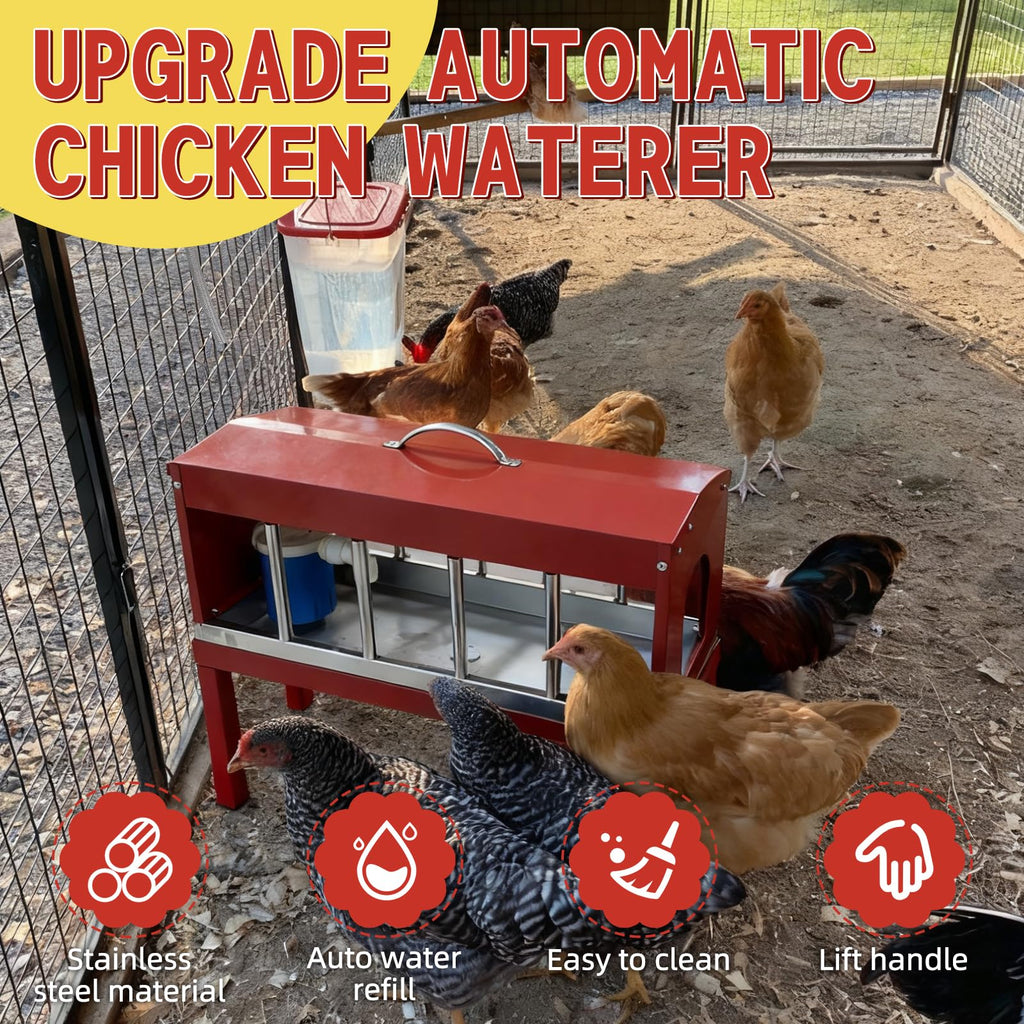 Automatic Chicken Waterer with Detachable Legs I66754