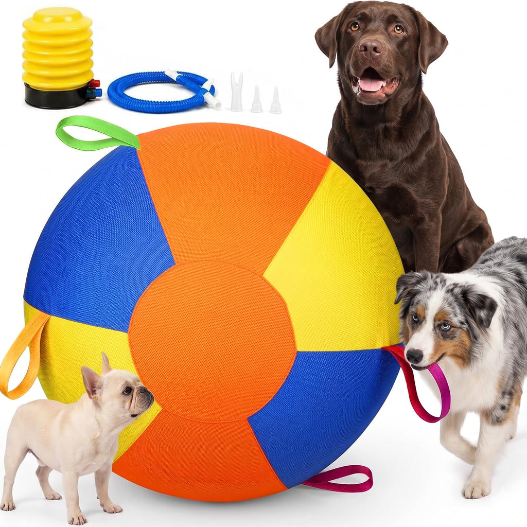 Inflatable Dog Ball with Handle Cover & Pump 18in Z206874