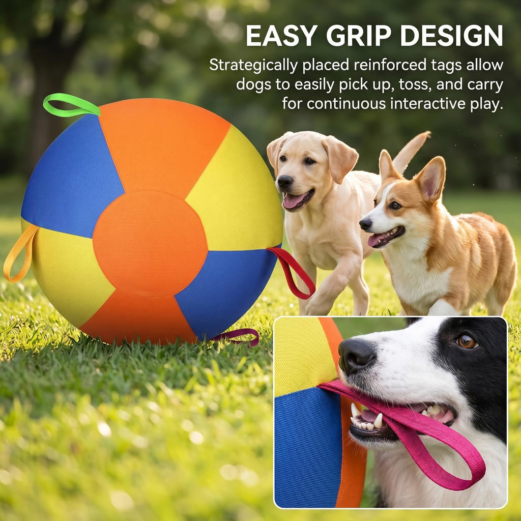 Inflatable Dog Ball with Handle Cover & Pump 18in Z206874