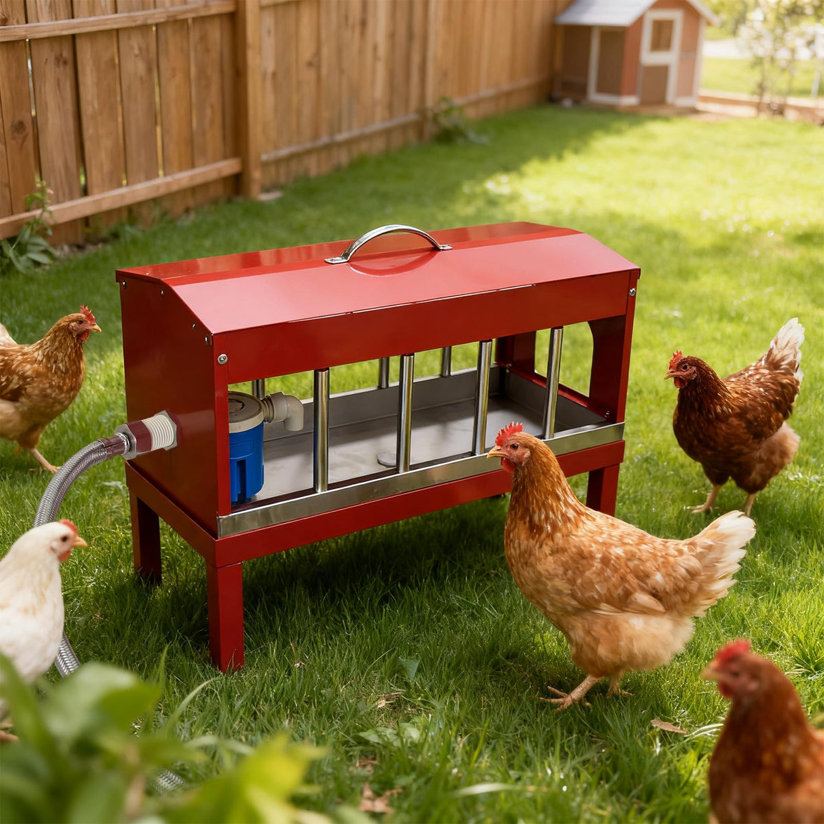 Automatic Chicken Waterer with Detachable Legs I66754