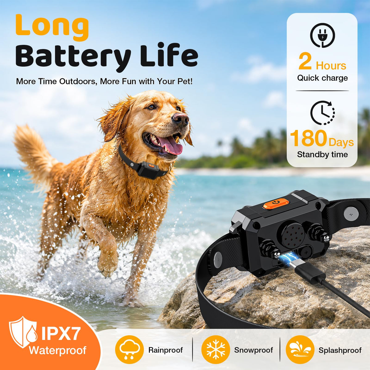 Electric Fence for Dogs with 2 Collars F37960