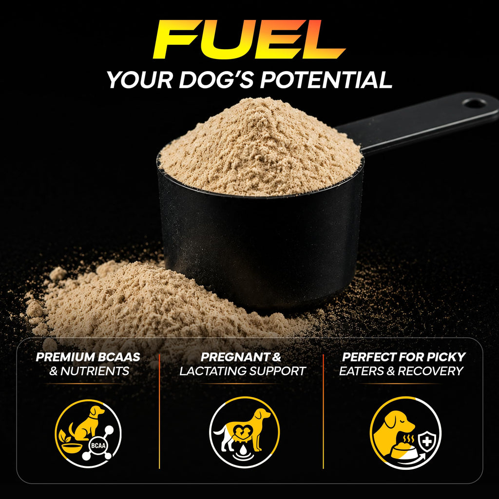 Dog Supplement 4lbs O2341