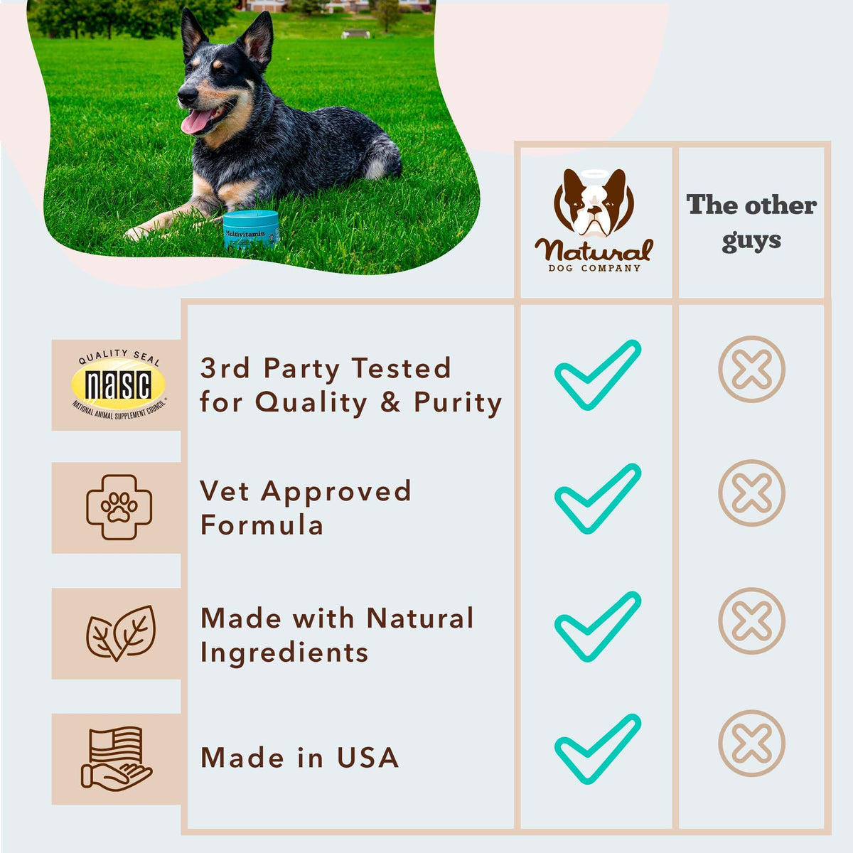 25-in-1 Multivitamin for Dogs 180 Count T65571